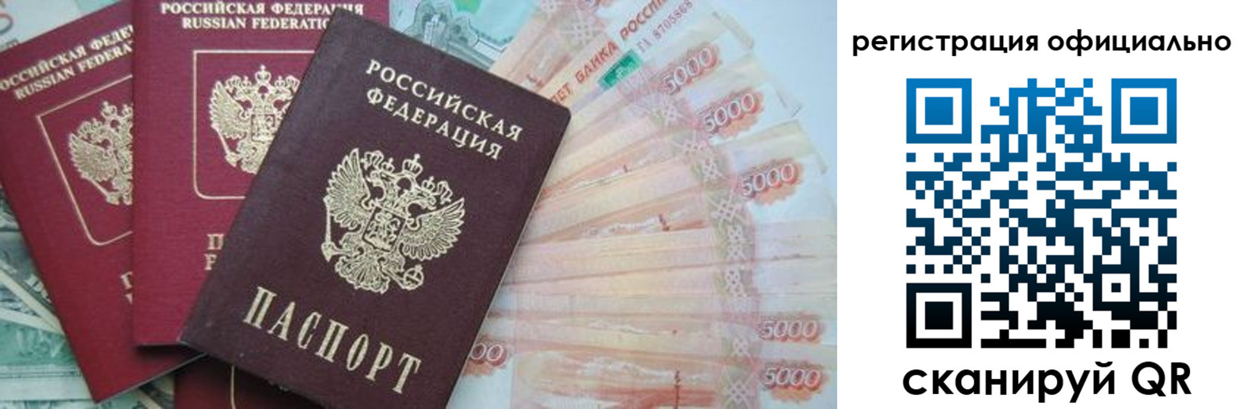 прописка законно в Ермолино